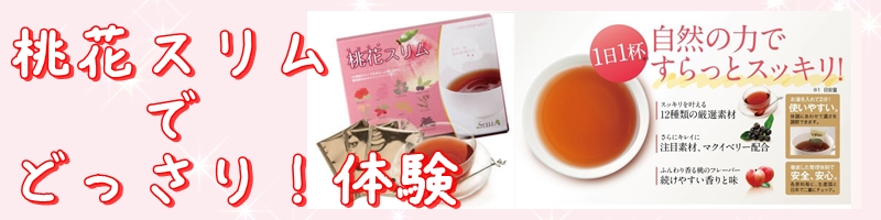 �X�e���������ԃX����|����������Ƃ̂Ȃ��X�b�L���֔钃�I���T�C�g